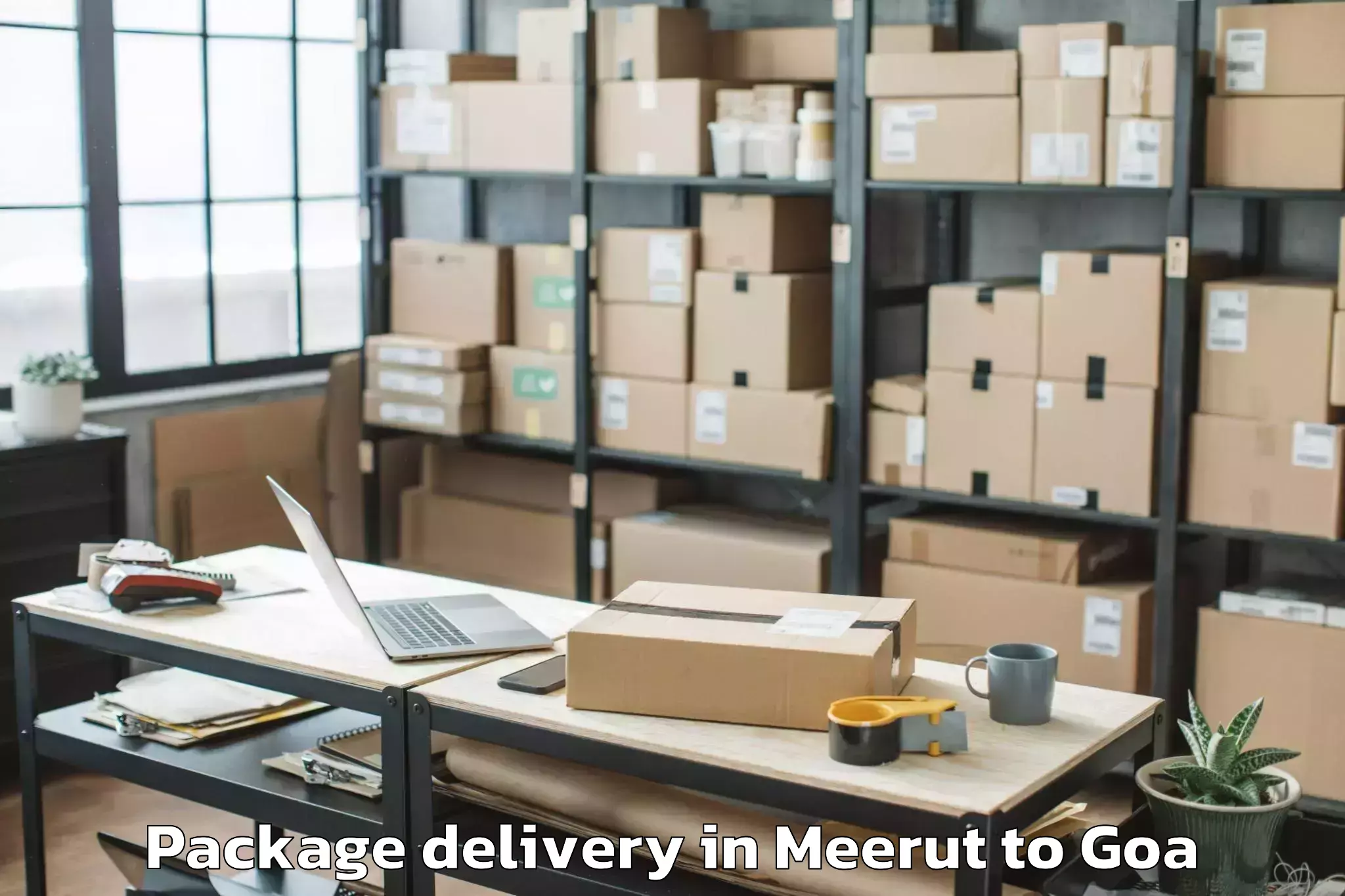 Expert Meerut to Mopa Package Delivery